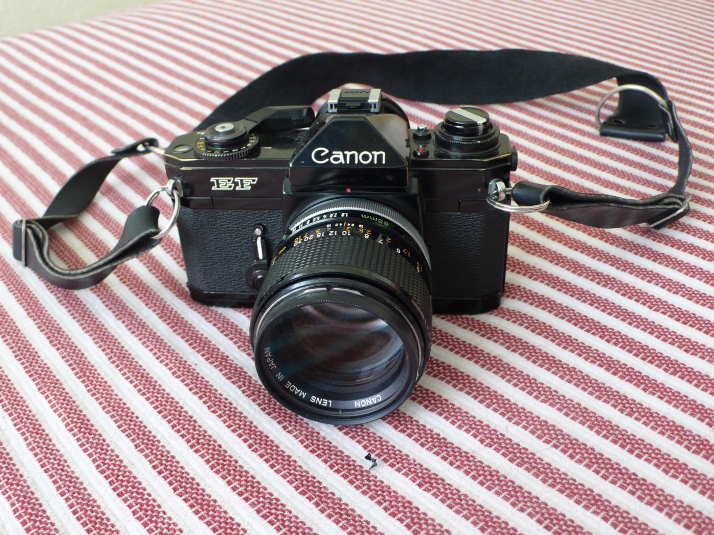 Detail Foto Camera Canon Nomer 33