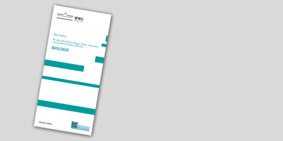 Detail Wahlen Flyer Nomer 24