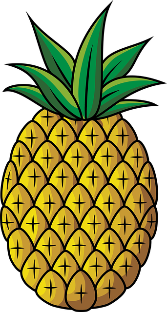 Detail Ananas Malen Nomer 23