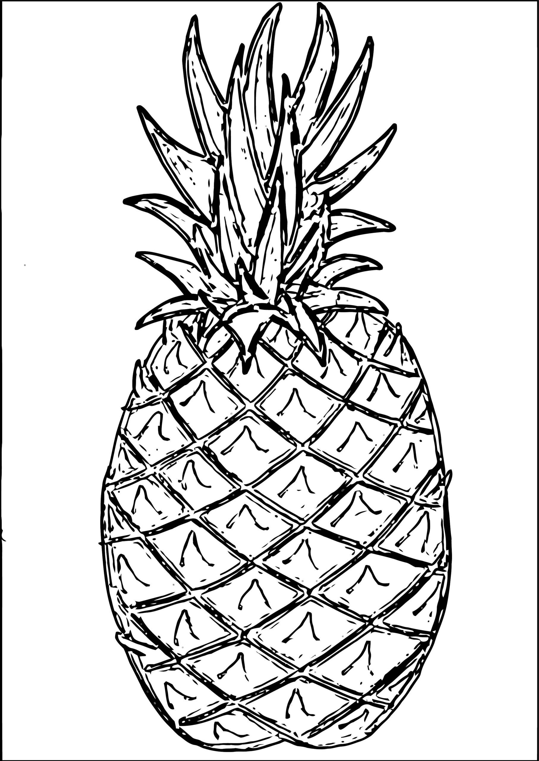 Detail Ananas Malen Nomer 24