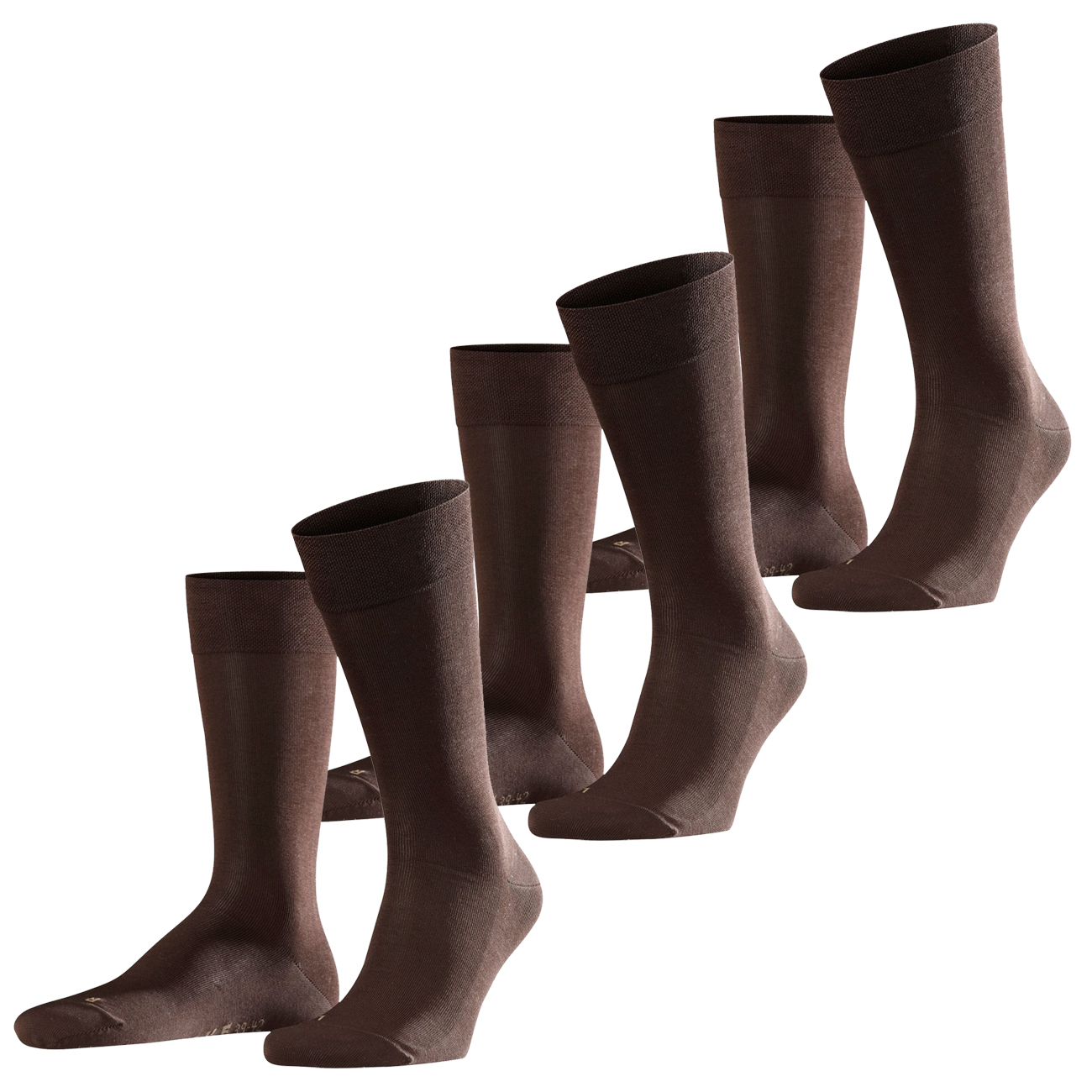 Detail Brauner Falke Nomer 2