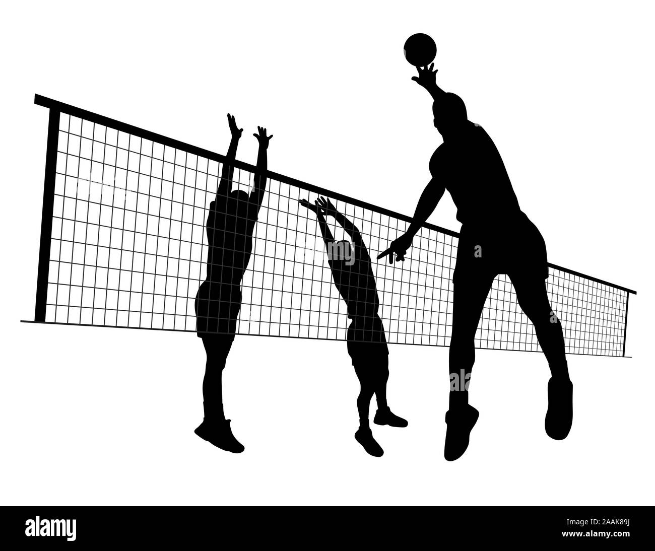 Detail Campo De Volleyball Nomer 15