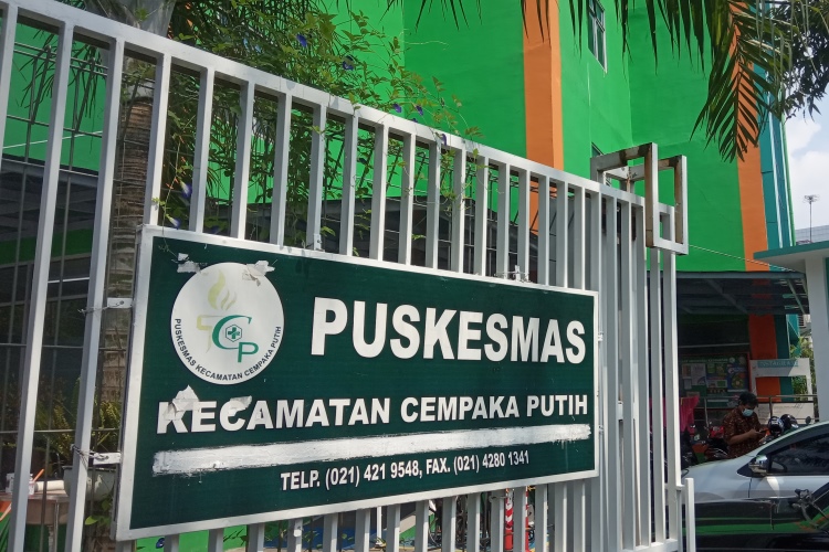 Download Foto Cempaka Putih Nomer 29