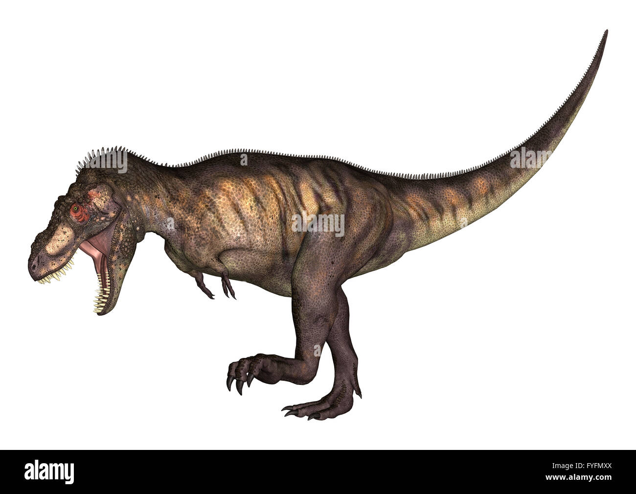 Detail Giganotosaurus Skeleton Museum Nomer 14
