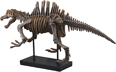 Detail Giganotosaurus Skeleton Museum Nomer 15