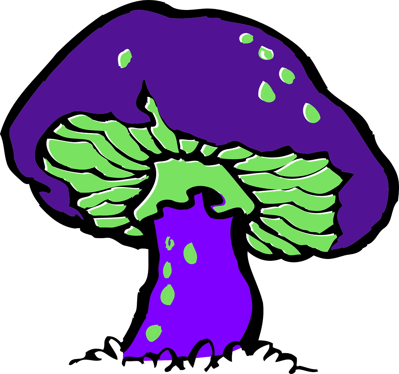 Detail Purple Mushroom Nomer 12
