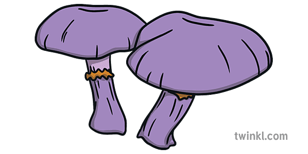 Detail Purple Mushroom Nomer 13