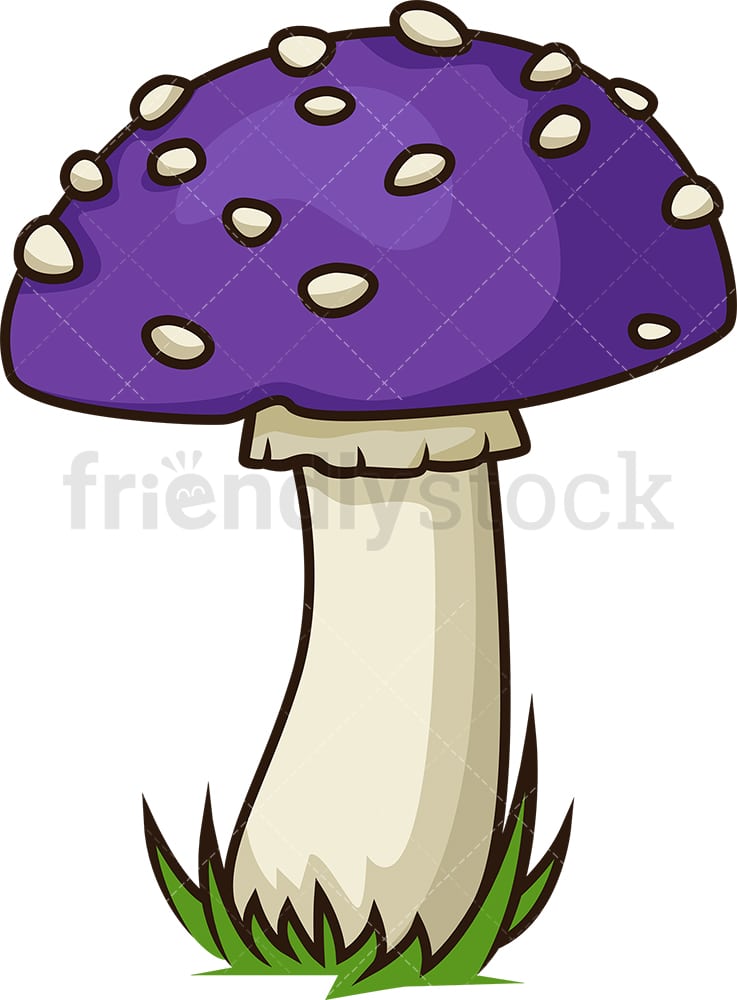 Purple Mushroom - KibrisPDR