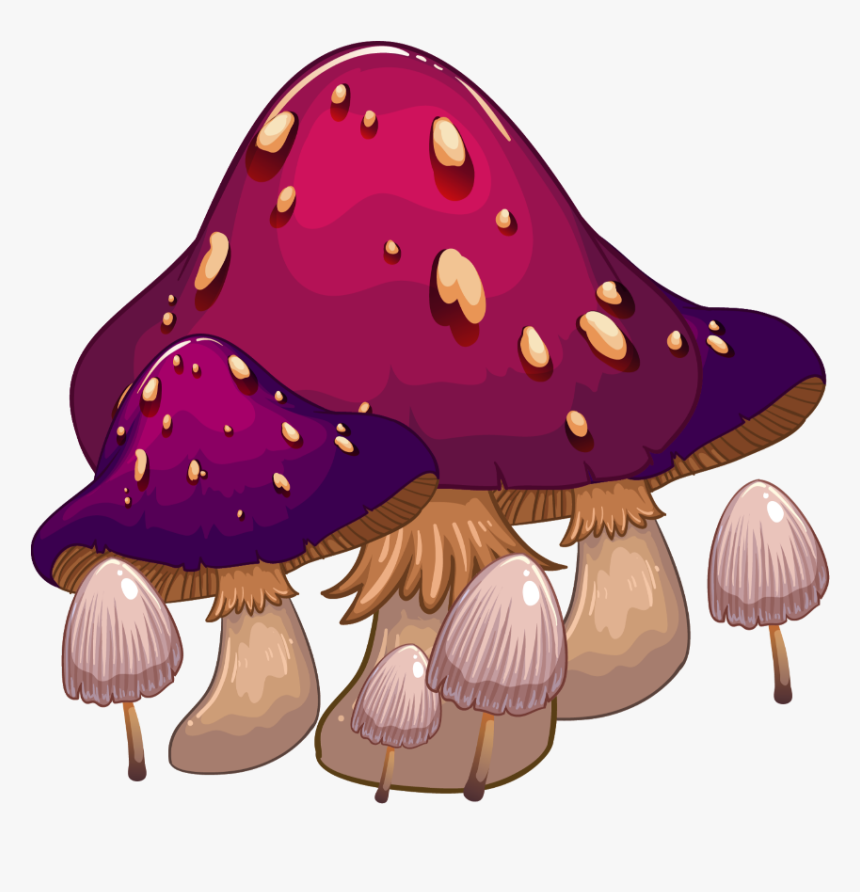 Detail Purple Mushroom Nomer 22