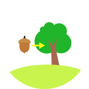 Detail Samen Baum Nomer 14