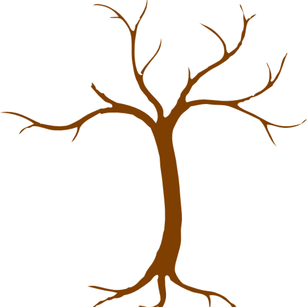 Detail Samen Baum Nomer 4