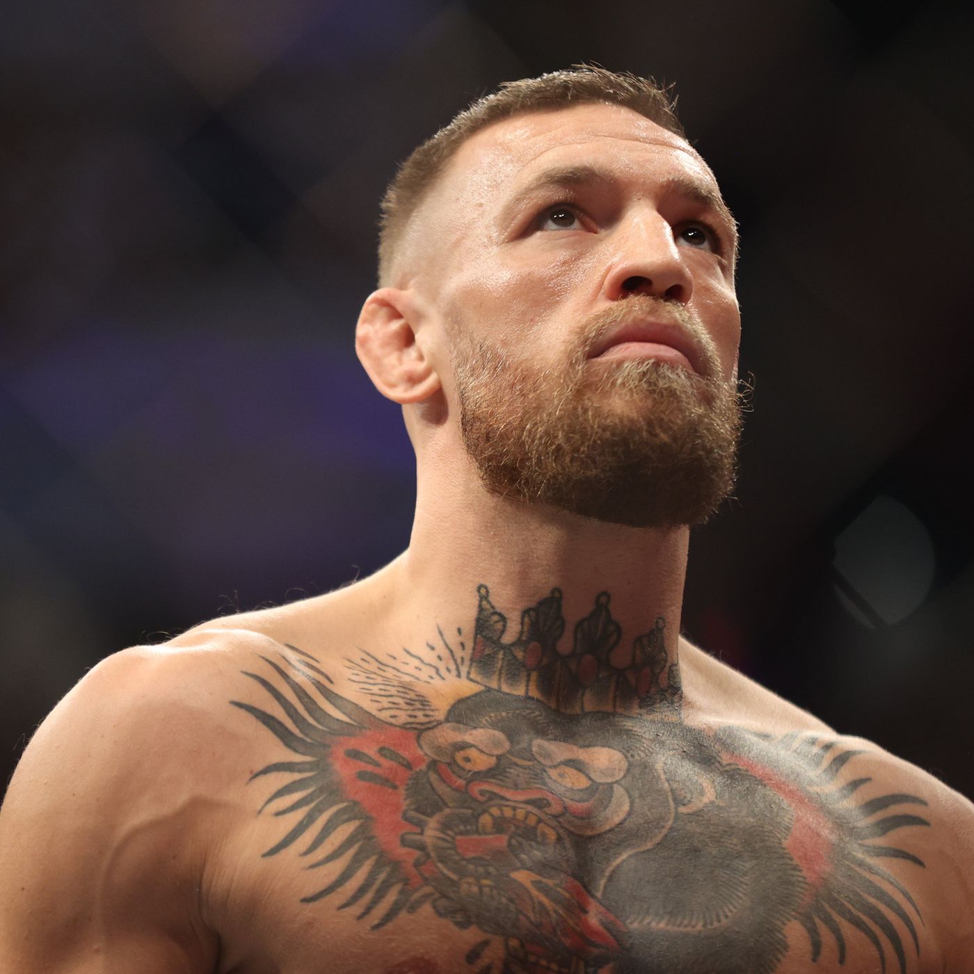 Detail Foto Conor Mcgregor Nomer 13