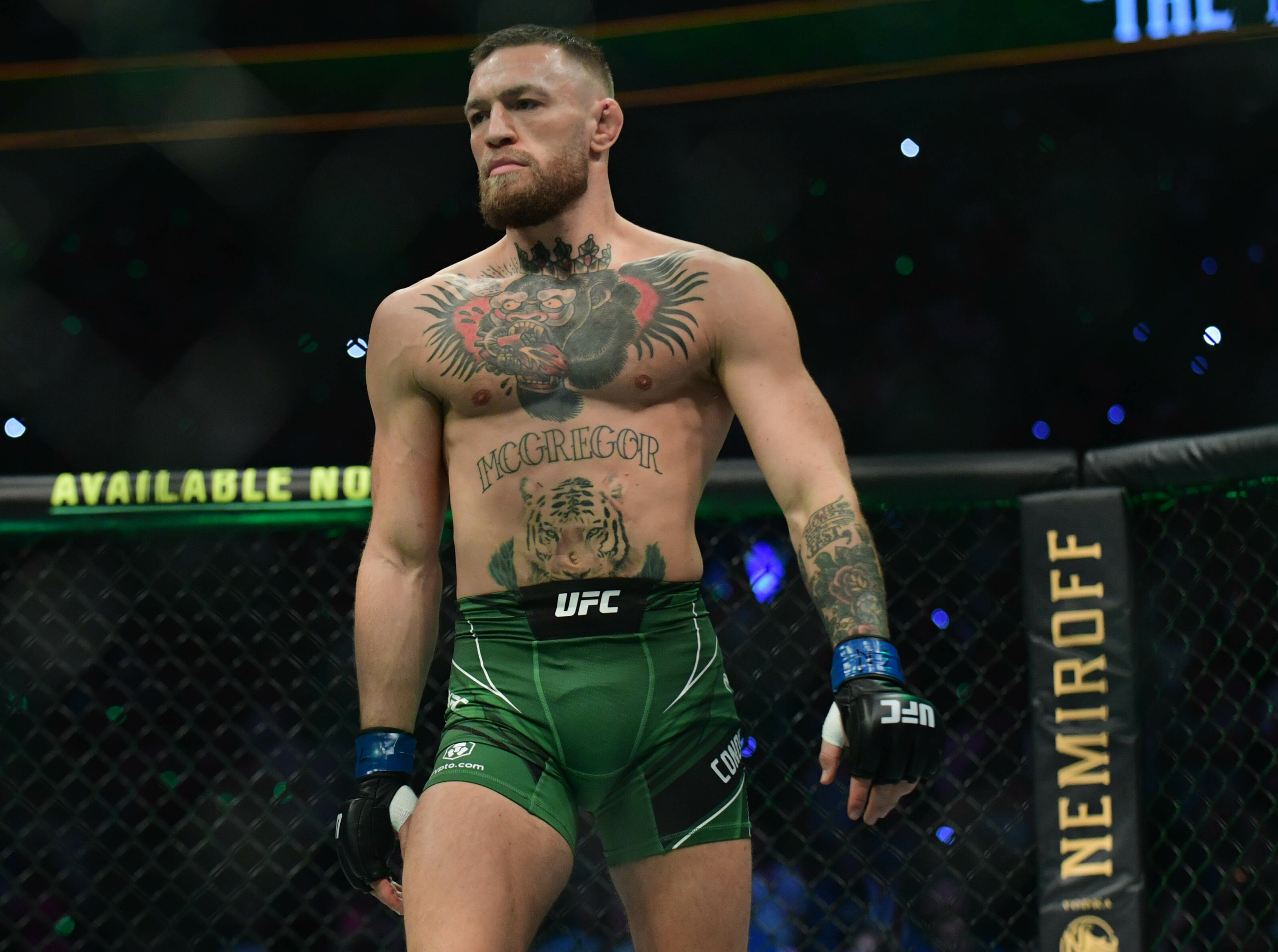 Detail Foto Conor Mcgregor Nomer 21