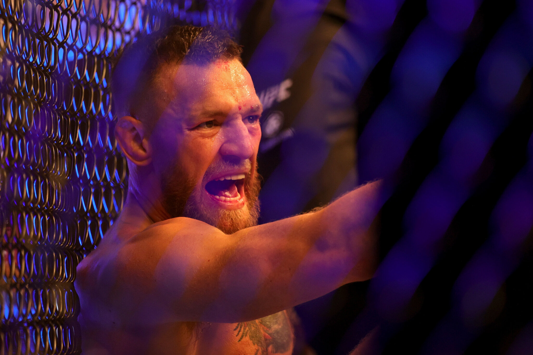 Detail Foto Conor Mcgregor Nomer 26