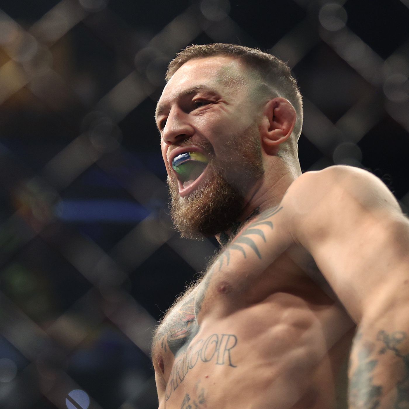 Detail Foto Conor Mcgregor Nomer 32