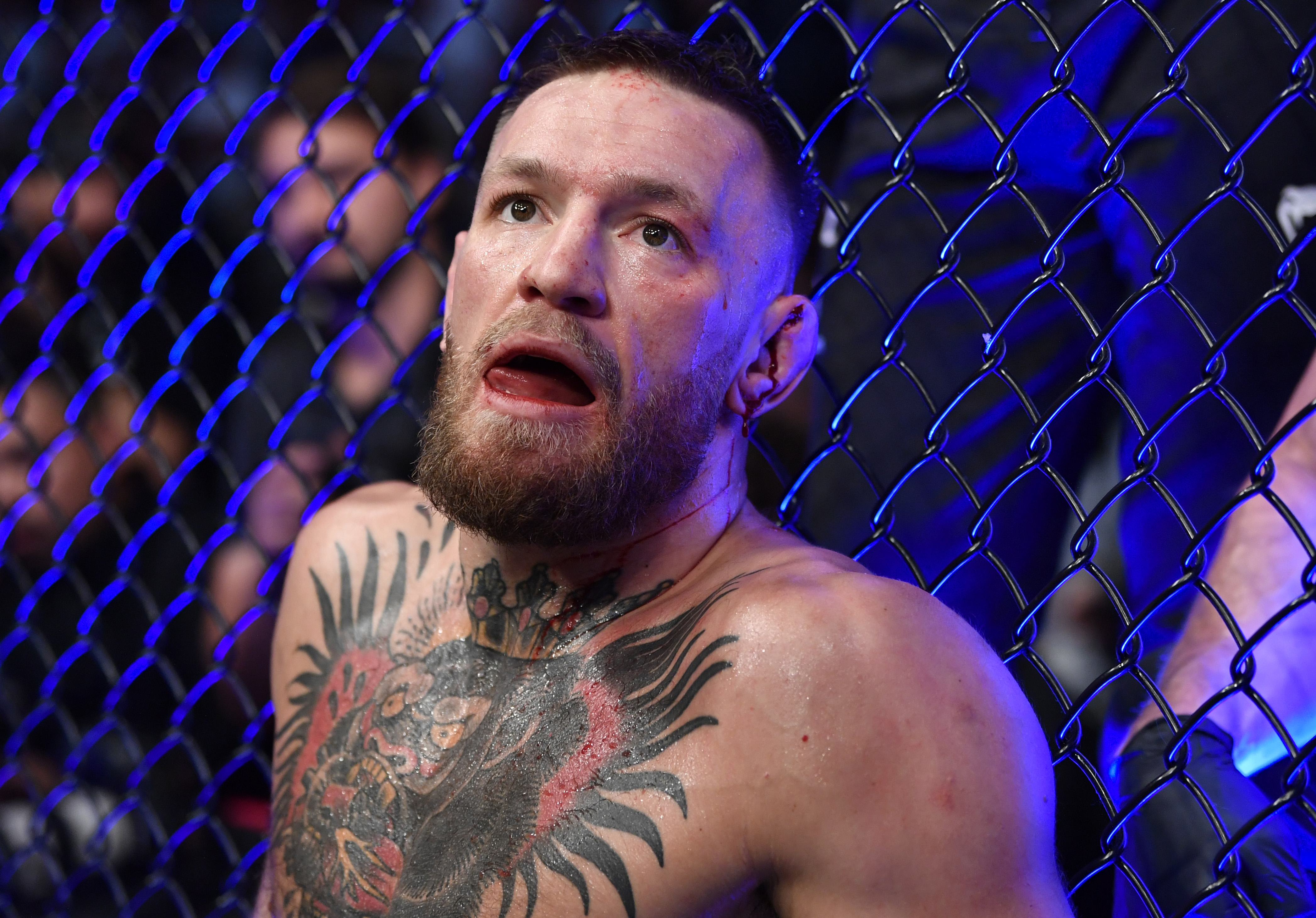 Detail Foto Conor Mcgregor Nomer 8