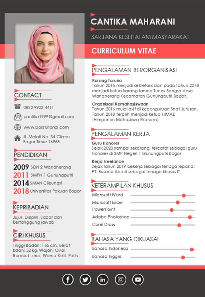 Detail Foto Cv Lamaran Kerja Nomer 52