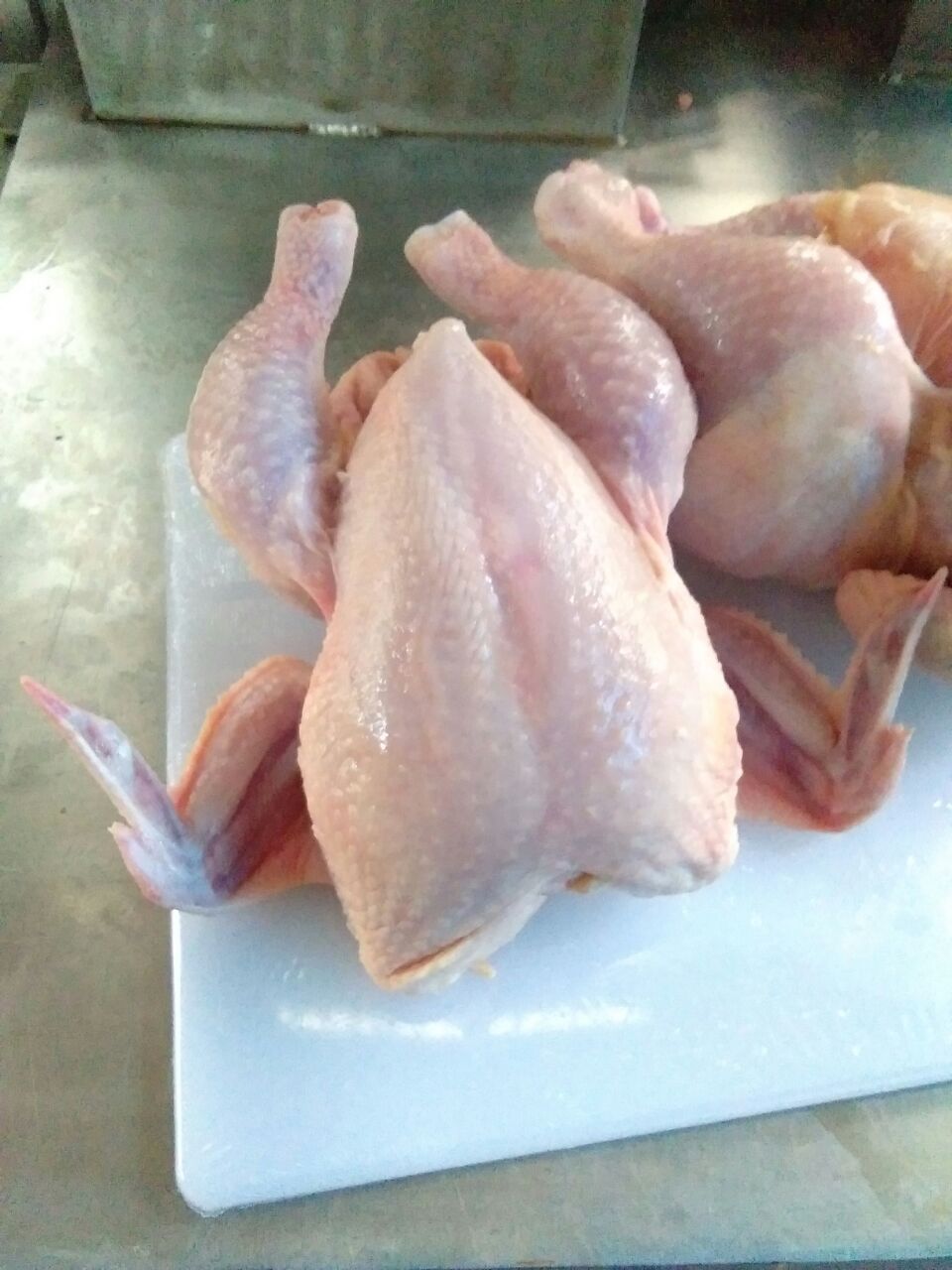 Detail Foto Daging Ayam Nomer 35