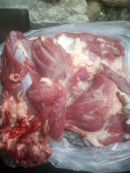 Detail Foto Daging Kambing Nomer 25