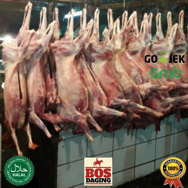 Detail Foto Daging Kambing Nomer 43