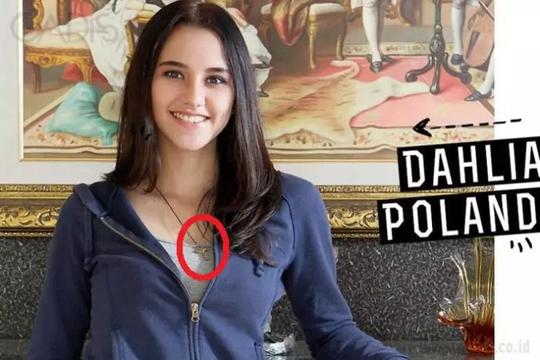 Detail Foto Dahlia Poland Terbaru Nomer 38