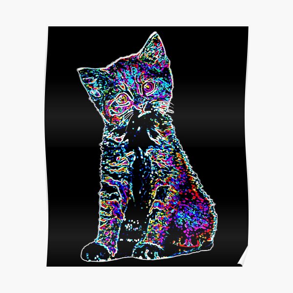 Detail Neon Katzen Bilder Nomer 3