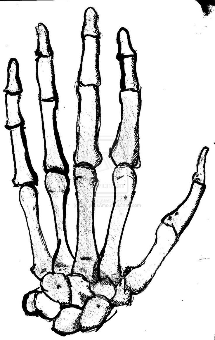 Detail Tattoo Skelett Hand Nomer 9