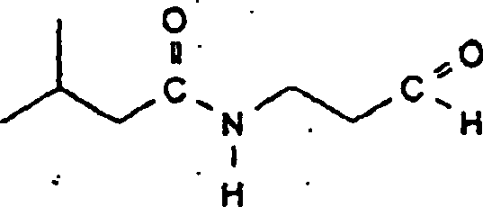 Detail Aqua Riesen Polyp Nomer 5