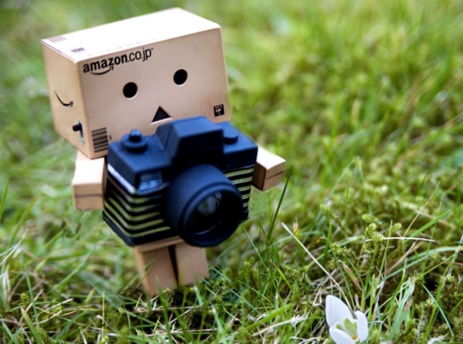 Detail Foto Danbo Bergerak Nomer 13