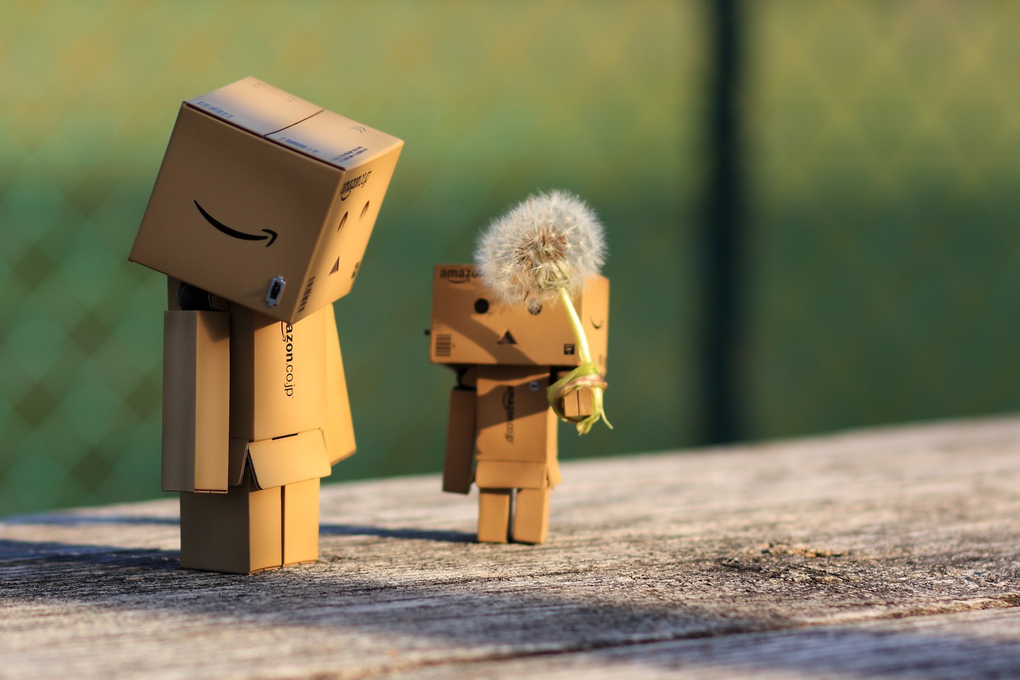 Detail Foto Danbo Bergerak Nomer 17