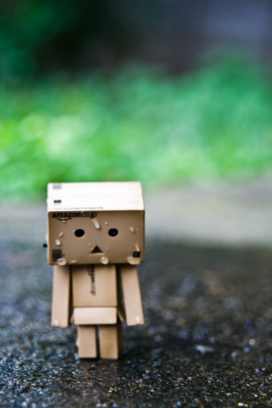 Detail Foto Danbo Lucu Nomer 12