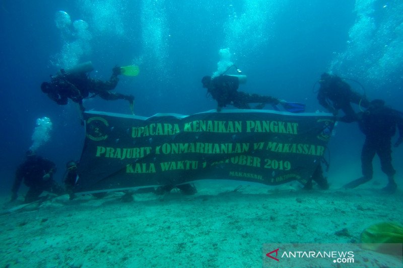 Detail Foto Dasar Laut Nomer 23