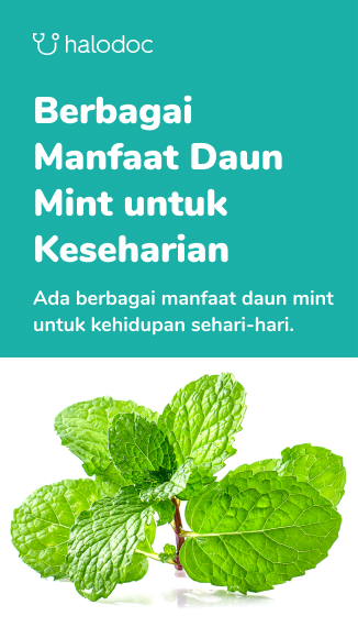 Detail Foto Daun Mint Nomer 36