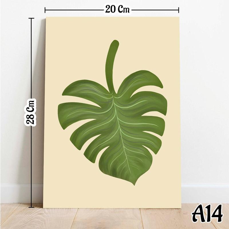 Detail Foto Daun Monstera Nomer 25