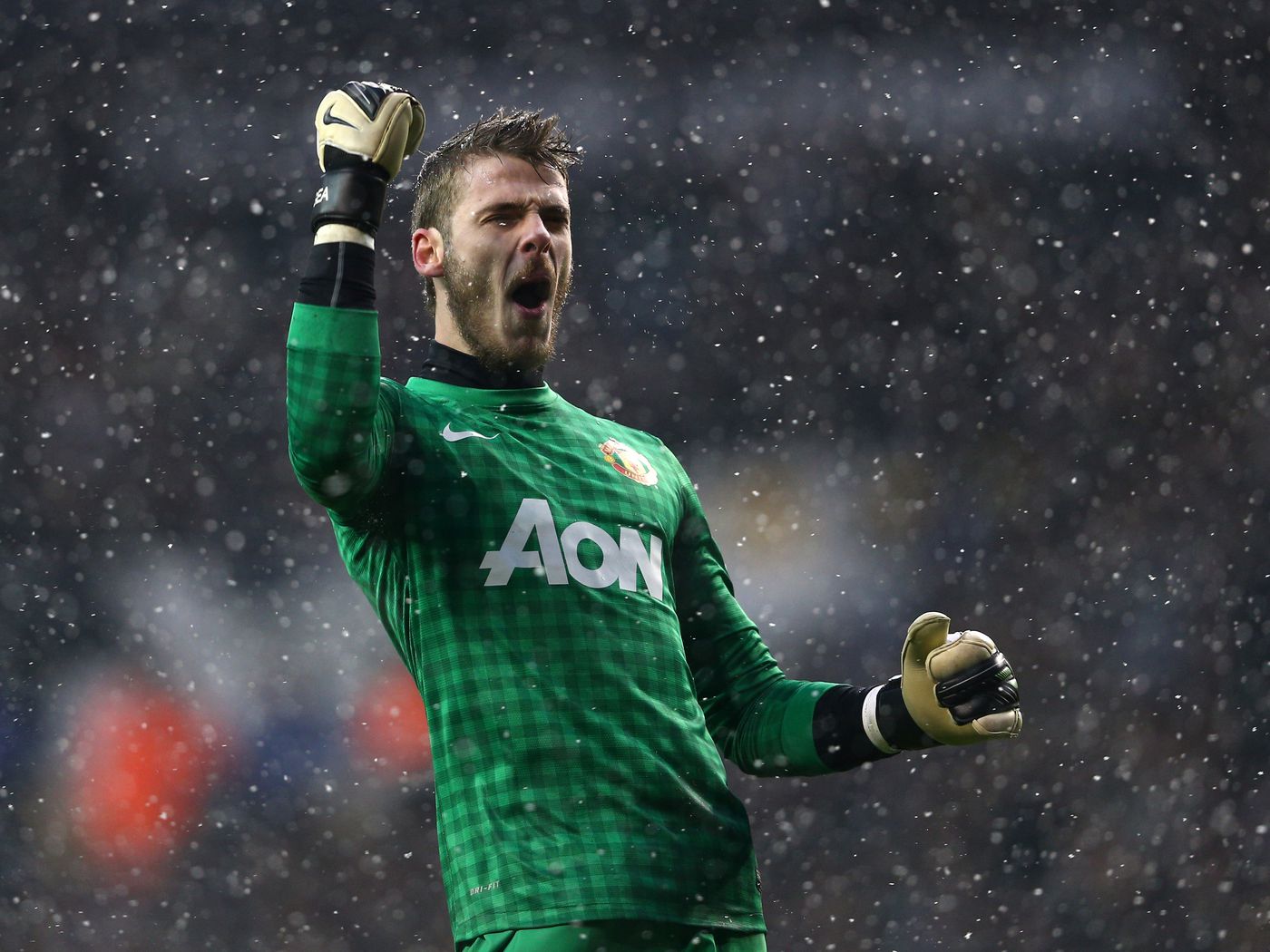 Detail Foto David De Gea Nomer 13