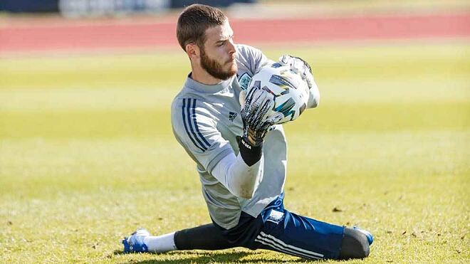 Detail Foto David De Gea Nomer 33