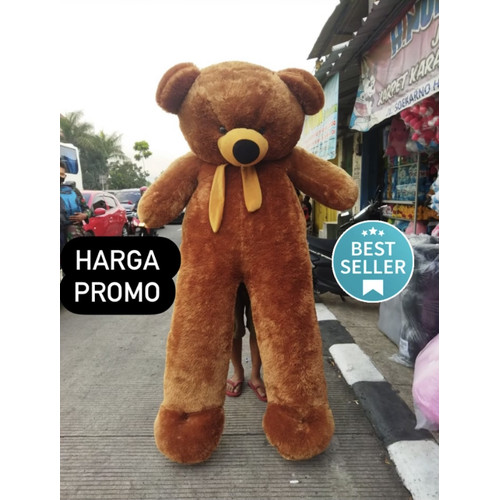 Detail Foto Dengan Boneka Besar Nomer 45