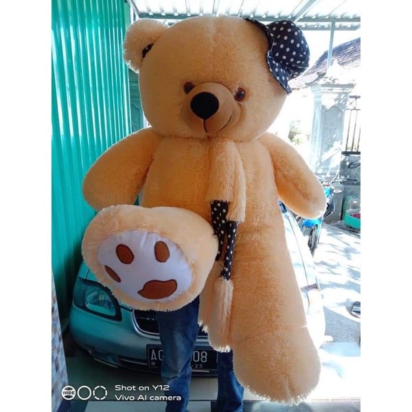 Detail Foto Dengan Boneka Besar Nomer 51