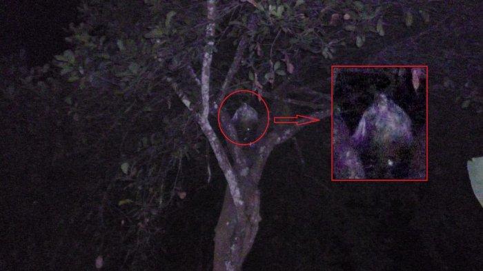 Detail Foto Dengan Hantu Nomer 2