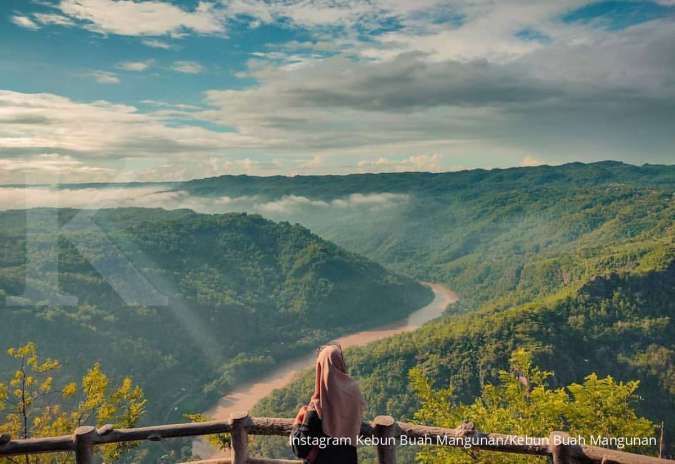 Detail Foto Di Atas Awan Nomer 31