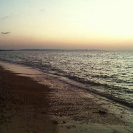 Detail Foto Di Pantai Dari Belakang Nomer 25