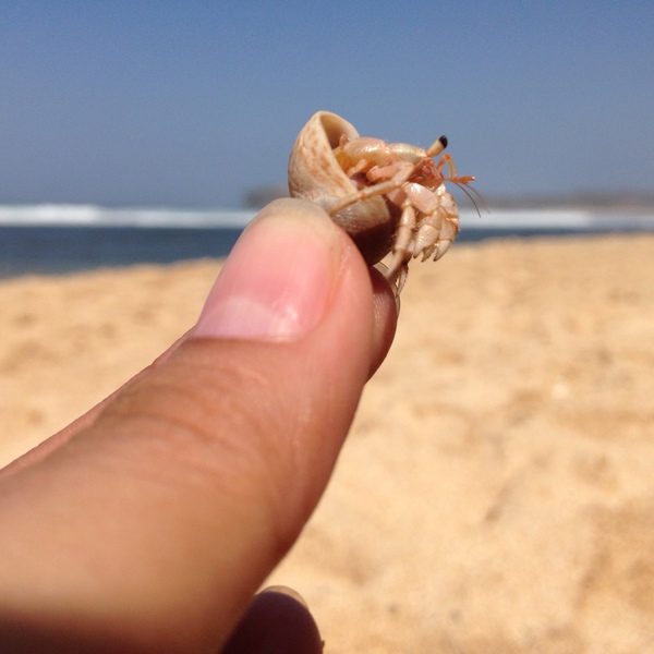 Detail Foto Di Pantai Sama Pacar Nomer 45