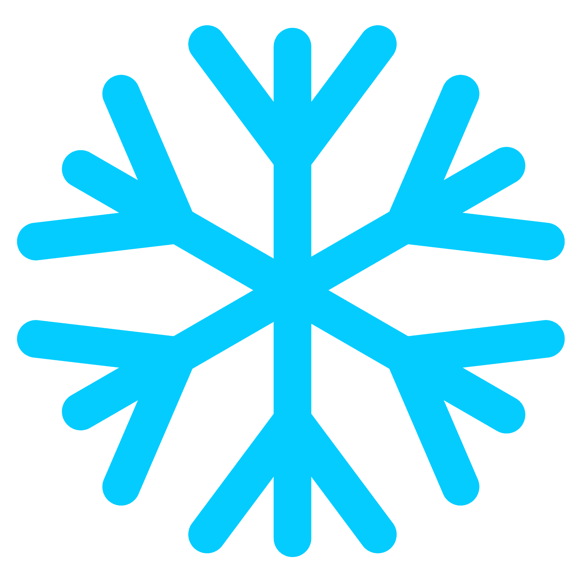 Detail Schneeflocken Transparent Nomer 17