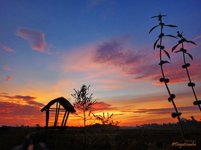 Detail Foto Di Senja Hari Nomer 16