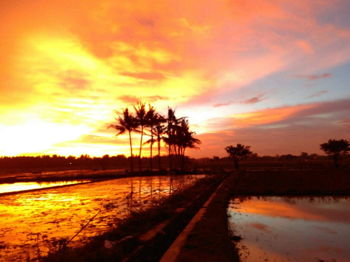 Detail Foto Di Senja Hari Nomer 6