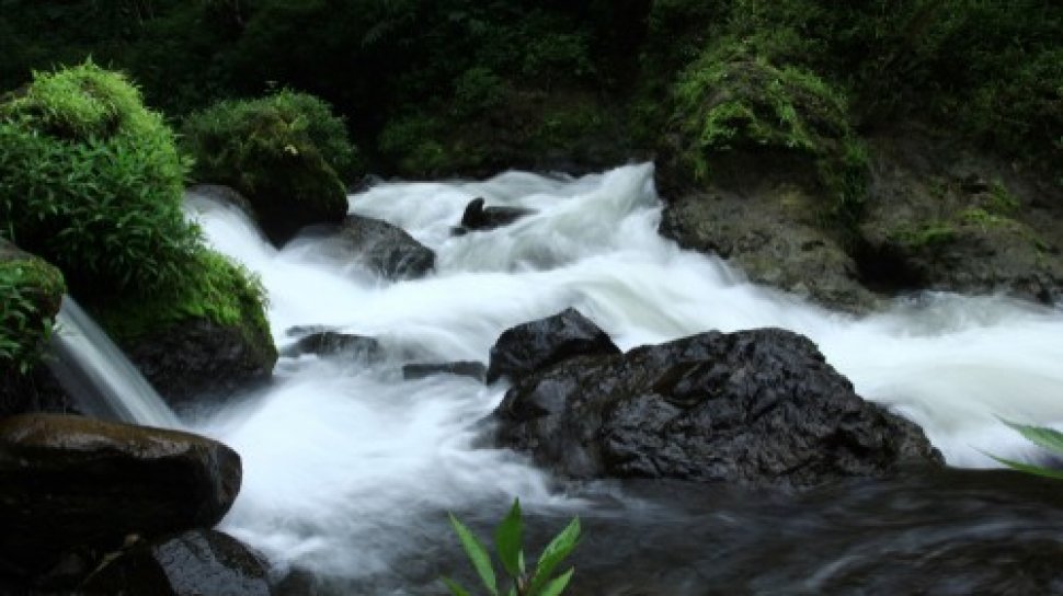 Detail Foto Di Sungai Nomer 6