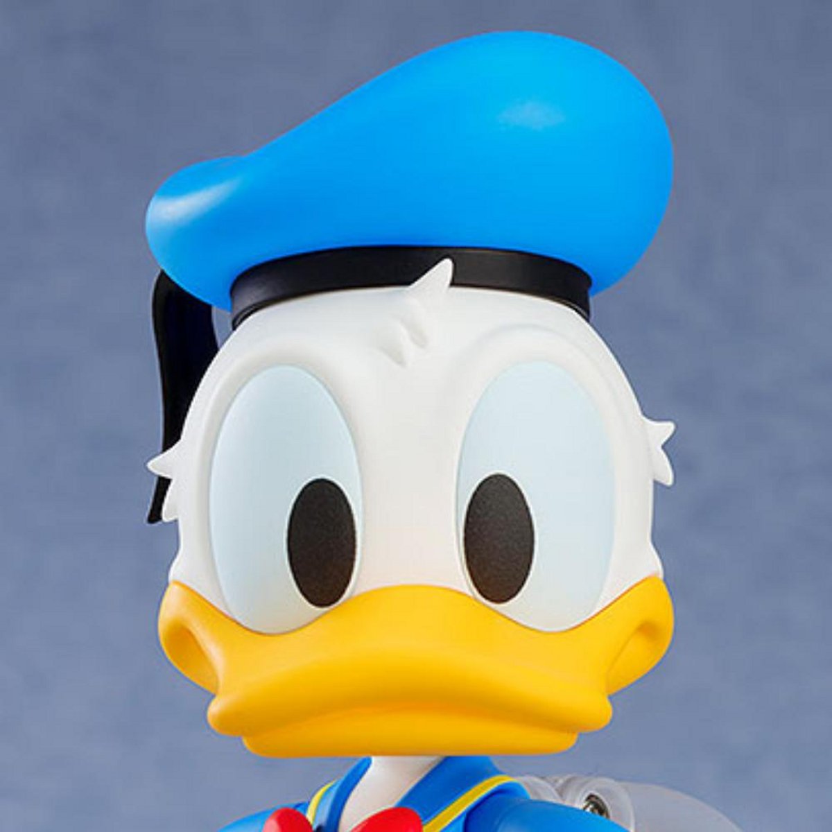 Detail Foto Donald Duck Nomer 35