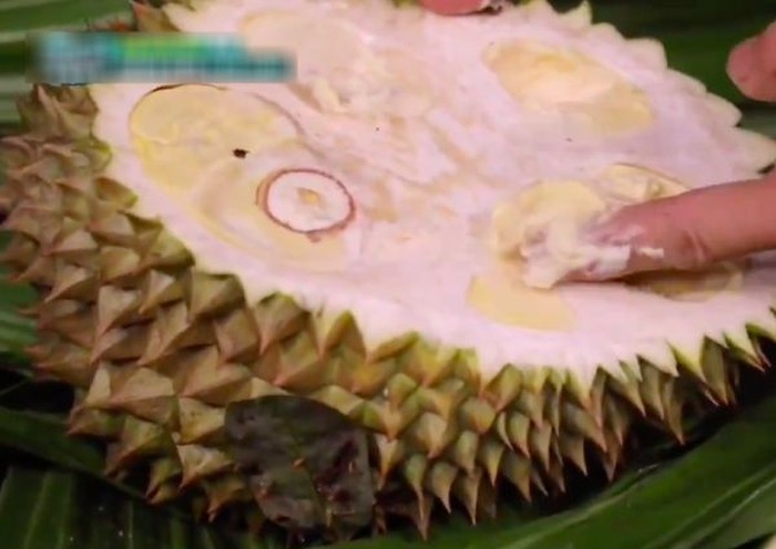 Detail Foto Durian Lucu Nomer 2