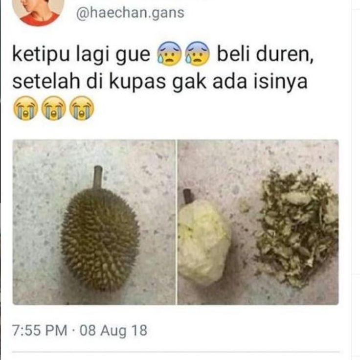 Detail Foto Durian Lucu Nomer 9