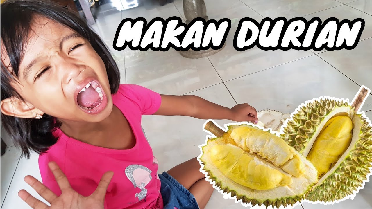 Detail Foto Durian Lucu Nomer 15